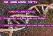 MAMMALIAN GENES II. Functional Innovation and Rapid Change (Feb 10) I. Conservation and Slow Evolution (today) THE HUMAN GENOME SERIES