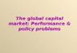 The global capital market: Performance & policy problems