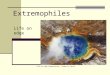Extremophiles Life on edge Life at High Temperatures, Thomas M. Brock