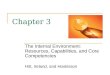 Chapter 3 The Internal Environment: Resources, Capabilities, and Core Competencies Hitt, Ireland, and Hoskisson