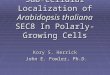 Sub-cellular Localization of Arabidopsis thaliana SEC8 In Polarly-Growing Cells Kory S. Herrick John E. Fowler, Ph.D. John E. Fowler, Ph.D