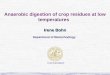 Anaerobic digestion of crop residues at low temperatures Irene Bohn LUND UNIVERSITY Department of Biotechnology