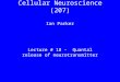 Cellular Neuroscience (207) Ian Parker Lecture # 18 - Quantal release of neurotransmitter