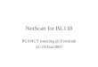 NetScan for BL118 PEANUT meeting @ Fermilab 22-23/Jan/2007
