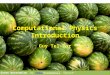 Computational Physics Introduction Guy Tel-Zur Green Watermelon, by Petr Kratochvil. Source:  Kratochvil