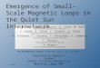 FALL 2007CSTR Journal Club Emergence of Small-Scale Magnetic Loops in the Quiet Sun Internetwork R. Centeno, H Socas-Navarro, B. Lites, M. Kubo High Altitude