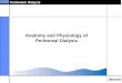Peritoneal Dialysis Anatomy and Physiology of Peritoneal Dialysis