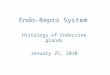 Endo-Repro System Histology of Endocrine glands January 25, 2010
