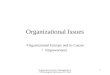 Organizational Issues, Management of Technological Innovation, KV Patri 1 Organizational Issues Organizational Entropy and its Causes Empowerment
