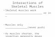 Interactions of Skeletal Muscles Skeletal muscles work _________________________ or in _ Muscles only _______________(never push) As muscles shorten, the