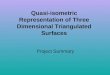 Quasi-isometric Representation of Three Dimensional Triangulated Surfaces Project Summary