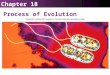 Chapter 18 Process of Evolution 18.1 Microevolution Principles of genetics explain how populations vary and change population genetics  Modern Evolutionary