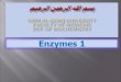 Enzymes are biological catalysts Enzymes are proteins that:  Increase the rate of reaction by lowering the energy of activation.  Catalyze nearly all