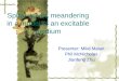 Spiral waves meandering in a model of an excitable medium Presenter: Mike Malatt Phil McNicholas Jianfeng Zhu