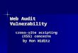 Web Audit Vulnerability cross-site scripting (XSS) concerns by Ron Widitz