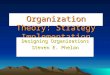Organization Theory: Strategy Implementation Process Designing Organizations Steven E. Phelan