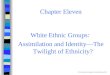 Chapter Eleven White Ethnic Groups: Assimilation and Identity—The Twilight of Ethnicity? © Pine Forge Press, an imprint of Sage Publications, 2003