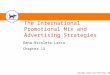 Copyright Atomic Dog Publishing, 2002 The International Promotional Mix and Advertising Strategies Dana-Nicoleta Lascu Chapter 13