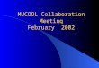 MUCOOL Collaboration Meeting February 2002 Steve Geer February 2002
