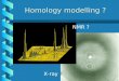Homology modelling ? X-ray ? NMR ?. Homology Modelling !