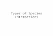 Types of Species Interactions. Competition Trees in the rainforest competing for light Desert plants competing for water