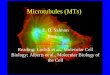 Microtubules (MTs) E. D. Salmon Biology tsalmon@email.unc.edu Reading: Lodish et al., Molecular Cell Biology; Alberts et al., Molecular Biology of the