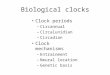 Biological clocks Clock periods –Circannual –Circalunidian –Circadian Clock mechanisms –Entrainment –Neural location –Genetic basis