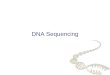 DNA Sequencing. Next few topics DNA Sequencing  Sequencing strategies Hierarchical Online (Walking) Whole Genome Shotgun  Sequencing Assembly Gene Recognition