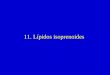 11. Lípidos isoprenoides. Lípidos isoprenoides Formados por aposición de unidades isoprenoides: Colesterol 11-cis retinal