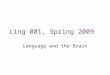 Ling 001, Spring 2009 Language and the Brain. Background Remember some things we have seen thus far: –Abilities in grammar are not directly correlated