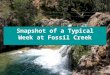 Snapshot of a Typical Week at Fossil Creek. Recent Accomplishments at Fossil Creek Installed 10 portable restrooms throughout the area Re-designed kiosk