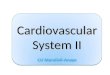 Cardiovascular System II. How do we measure blood pressure ?