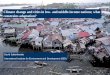 Climate change and cities in low- and middle-income nations; what constrains adaptation? David Satterthwaite International Institute for Environment and
