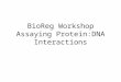 BioReg Workshop Assaying Protein:DNA Interactions