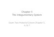 Chapter 5 The Integumentary System Exam Two Material Covers Chapter 5, 6, & 7
