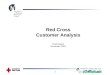 1 Red Cross Customer Analysis Final Report December 2002