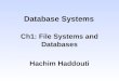 Database Systems Ch1: File Systems and Databases Hachim Haddouti