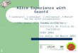 1 Alice Experience with Geant4 F.Carminati 1, I.González 2, I.Hrivnacova 3, A.Morsch 1 for the ALICE Collaboration ( 1 CERN, Geneva; 2 IFCA, Cantabria;