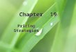 Chapter 19 Pricing Strategies. 19-2 Chapter Objectives 1.Compare the alternative pricing strategies and explain when each strategy is most appropriate