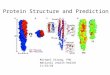 Protein Structure and Prediction Michael Strong, PhD National Jewish Health 11/16/10
