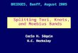 BRIDGES, Banff, August 2005 Splitting Tori, Knots, and Moebius Bands Carlo H. Séquin U.C. Berkeley