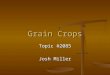 Grain Crops Topic #2085 Josh Miller. Crops and Use Grain Grain Seed of a cereal grain plant Seed of a cereal grain plant Grain kernels have a high starch