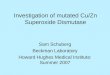 Investigation of mutated Cu/Zn Superoxide Dismutase Sam Schuberg Beckman Laboratory Howard Hughes Medical Institute: Summer 2007