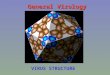 General Virology VIRUS STRUCTURE. Virion vs virus Virion is the infectious particle –composed of nucleic acid, protein capsid, +/- envelope –may be extracellular