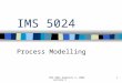 IMS 5024 Semester 2, 2002 Lecture 3 1 IMS 5024 Process Modelling