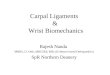 Carpal Ligaments & Wrist Biomechanics Rajesh Nanda MBBS, D. Orth, MRCSEd, MSc (Evidence based Orthopaedics) SpR Northern Deanery