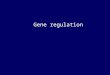 Gene regulation. Gene regulation NUCLEUS CYTOPLASM R. S. Winning, 2003