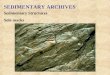 SEDIMENTARY ARCHIVES Sedimentary Structures Sole marks