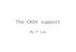 The CKOV support By P Lau. Hall space available to the Ckov & TOF 0 Beam line 3