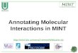 Annotating Molecular Interactions in MINT 